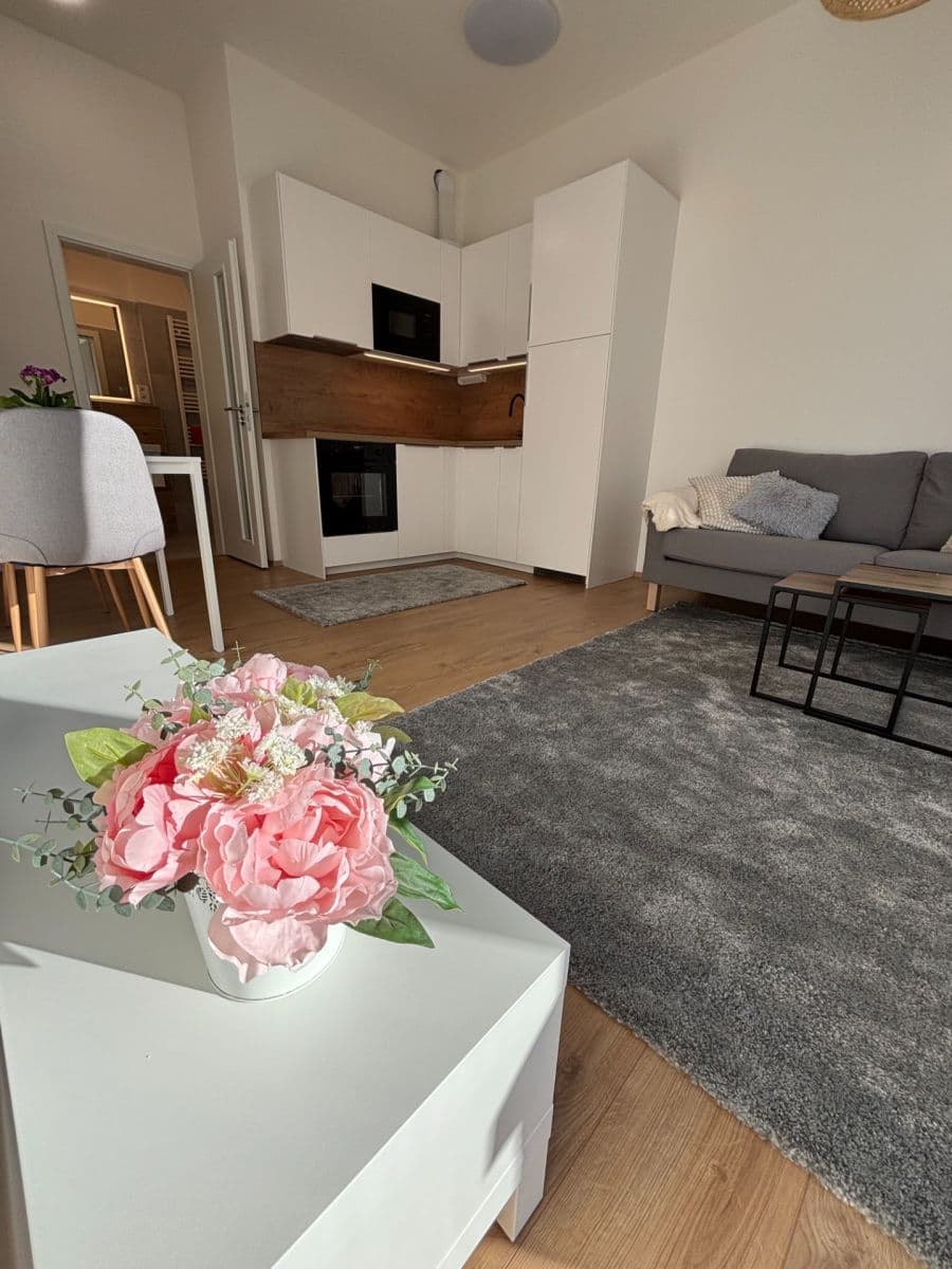 1 bedroom with open-plan kitchen flat to rent, 42 m², Hermanové, Prague, Prague 1 bedroom with open-plan kitchen flat to rent, 42 m², Hermanové, Prague, Prague