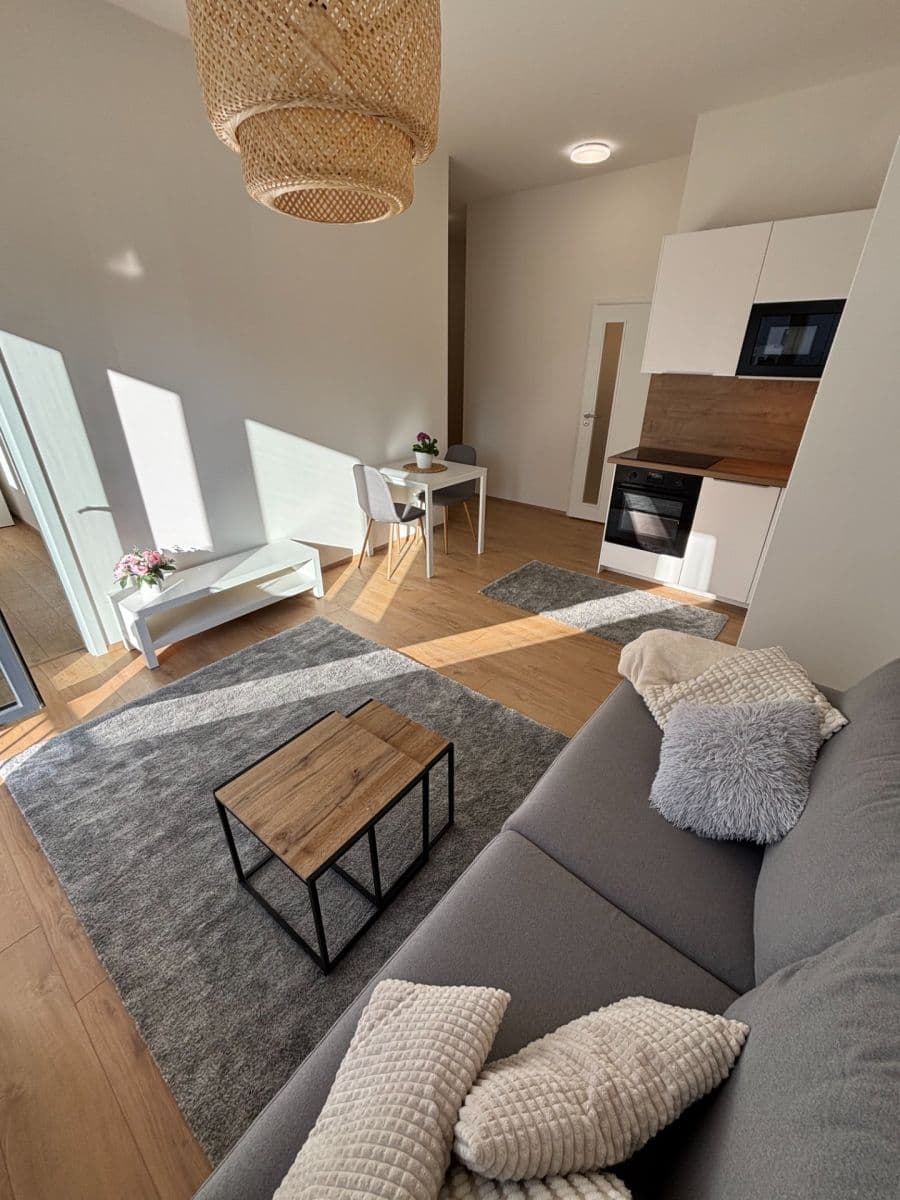 1 bedroom with open-plan kitchen flat to rent, 42 m², Hermanové, Prague, Prague 1 bedroom with open-plan kitchen flat to rent, 42 m², Hermanové, Prague, Prague