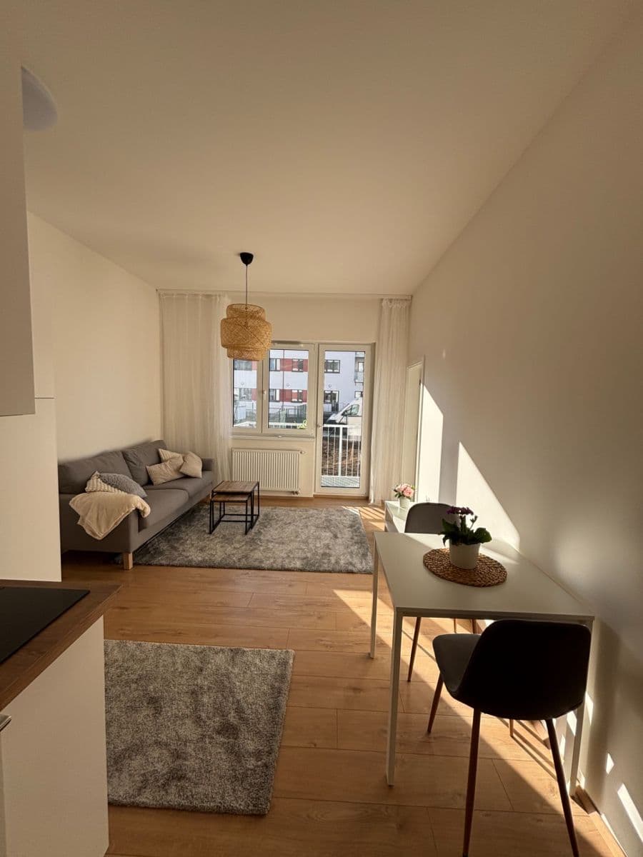 1 bedroom with open-plan kitchen flat to rent, 42 m², Hermanové, Prague, Prague 1 bedroom with open-plan kitchen flat to rent, 42 m², Hermanové, Prague, Prague