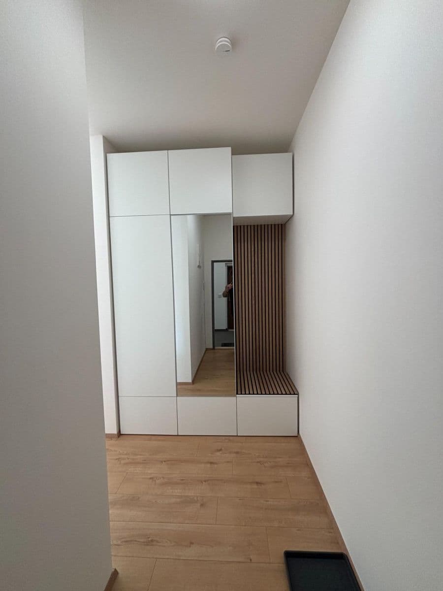 1 bedroom with open-plan kitchen flat to rent, 42 m², Hermanové, Prague, Prague 1 bedroom with open-plan kitchen flat to rent, 42 m², Hermanové, Prague, Prague