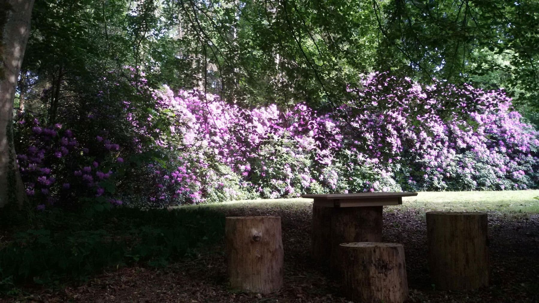 1 bedroom with open-plan kitchen flat to rent, 82 m², Schneverdingen, Lower Saxony 1 bedroom with open-plan kitchen flat to rent, 82 m², Schneverdingen, Lower Saxony