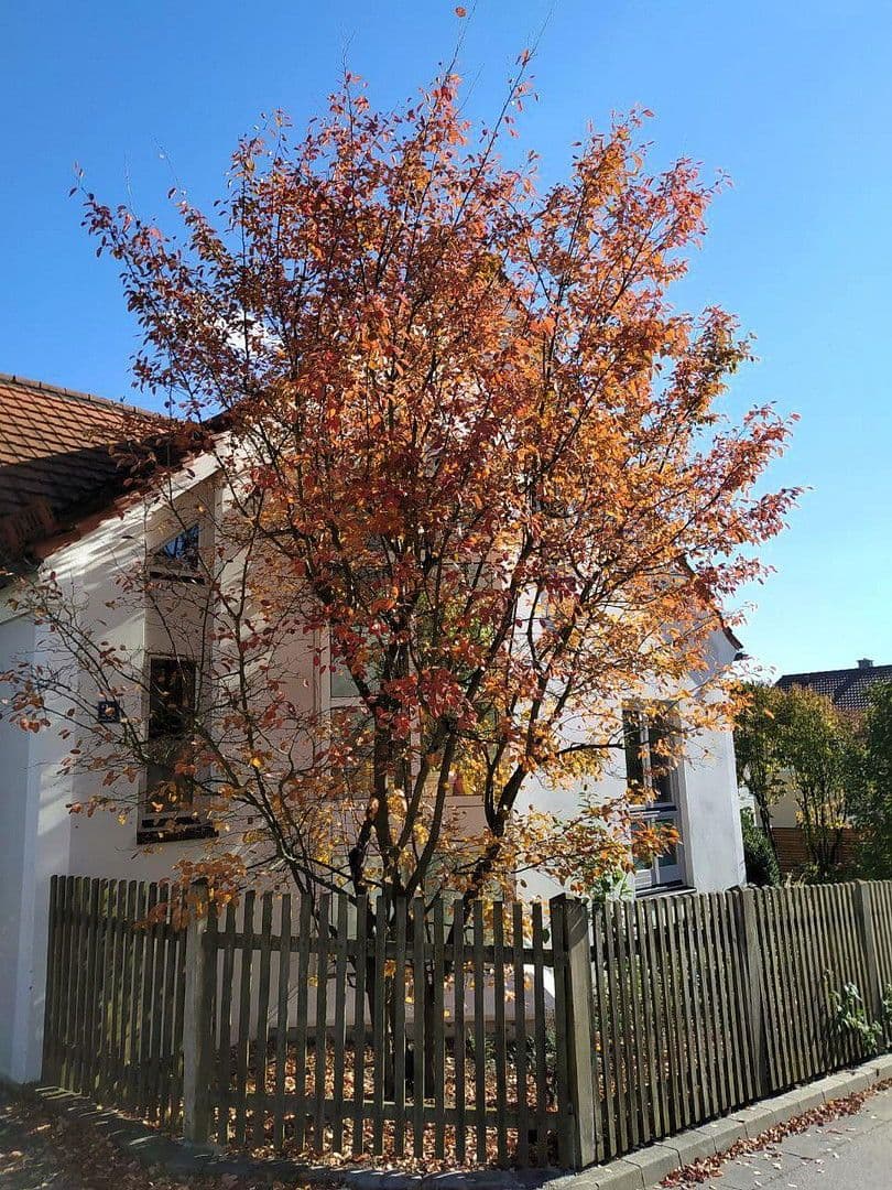 house for sale, 300 m², Dietfurt an der Altmühl, Bavaria house for sale, 300 m², Dietfurt an der Altmühl, Bavaria