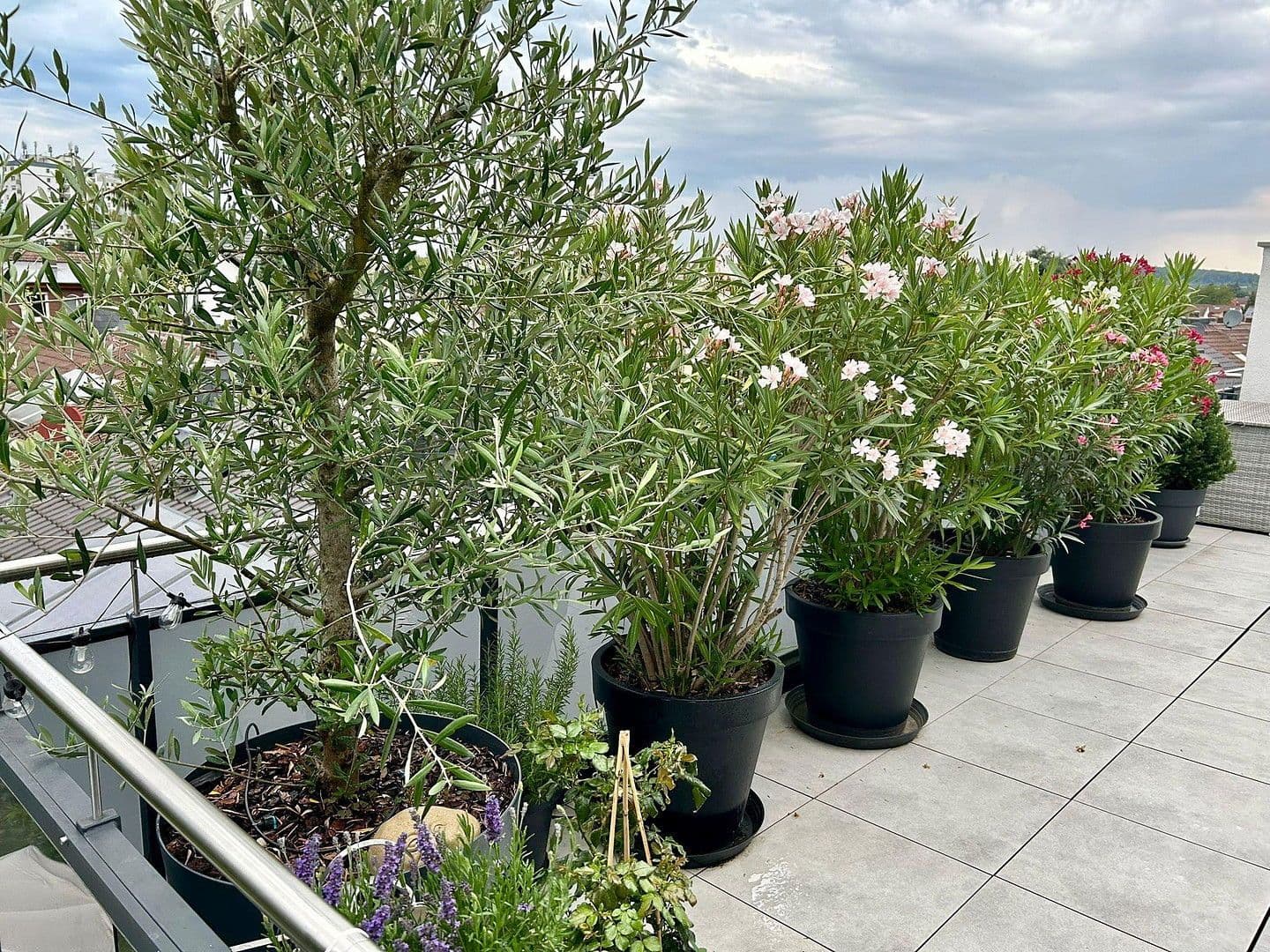 4 bedroom flat to rent, 106 m², Kennedystraße 96, Maintal, Hesse 4 bedroom flat to rent, 106 m², Kennedystraße 96, Maintal, Hesse