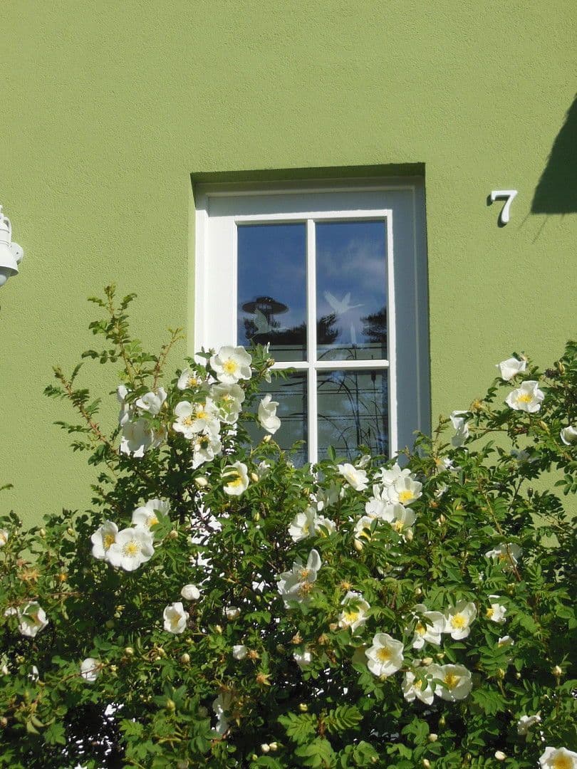 house for sale, 107 m², Am Dünenwald Am Dünenwald 7, Glowe, Mecklenburg-Vorpommern house for sale, 107 m², Am Dünenwald Am Dünenwald 7, Glowe, Mecklenburg-Vorpommern