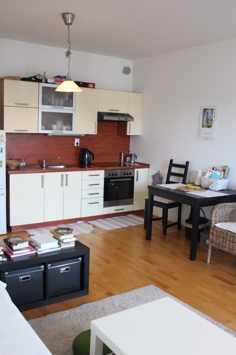 1 bedroom with open-plan kitchen flat to rent, 69 m², U Uranie, Prague, Prague 1 bedroom with open-plan kitchen flat to rent, 69 m², U Uranie, Prague, Prague
