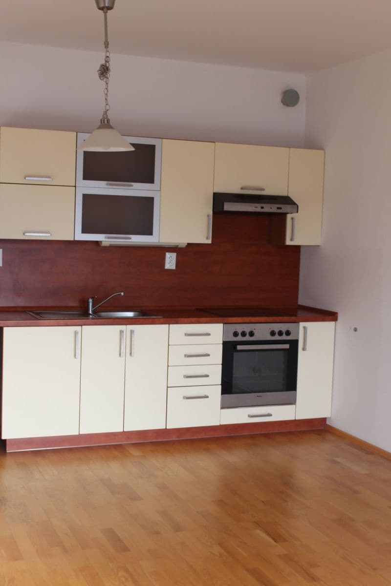 1 bedroom with open-plan kitchen flat to rent, 69 m², U Uranie, Prague, Prague 1 bedroom with open-plan kitchen flat to rent, 69 m², U Uranie, Prague, Prague