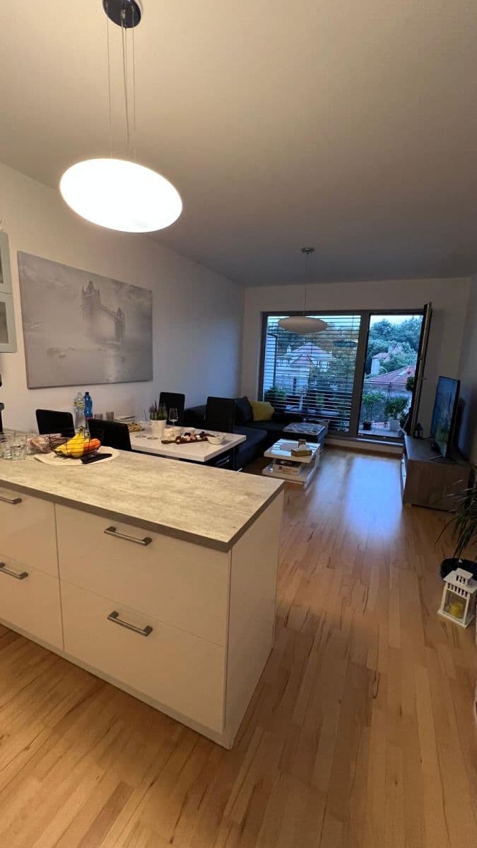 1 bedroom with open-plan kitchen flat to rent, 50 m², Slévačská, Prague, Prague 1 bedroom with open-plan kitchen flat to rent, 50 m², Slévačská, Prague, Prague