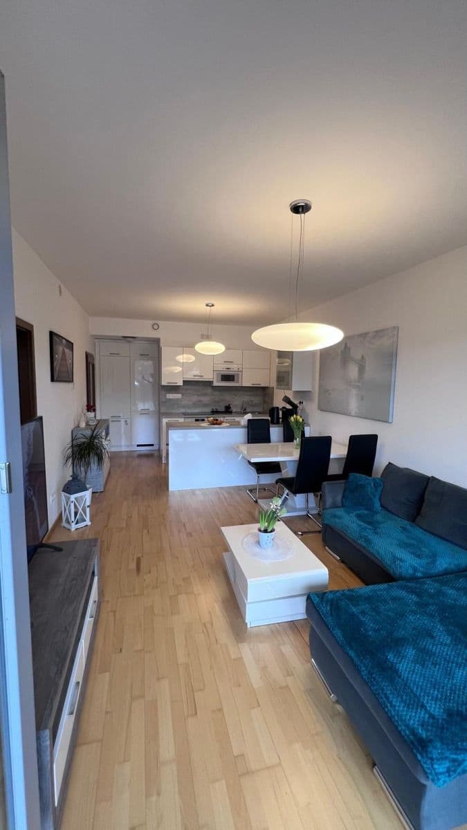 1 bedroom with open-plan kitchen flat to rent, 50 m², Slévačská, Prague, Prague 1 bedroom with open-plan kitchen flat to rent, 50 m², Slévačská, Prague, Prague