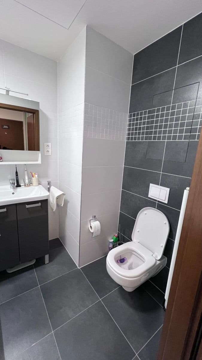 1 bedroom with open-plan kitchen flat to rent, 50 m², Slévačská, Prague, Prague 1 bedroom with open-plan kitchen flat to rent, 50 m², Slévačská, Prague, Prague