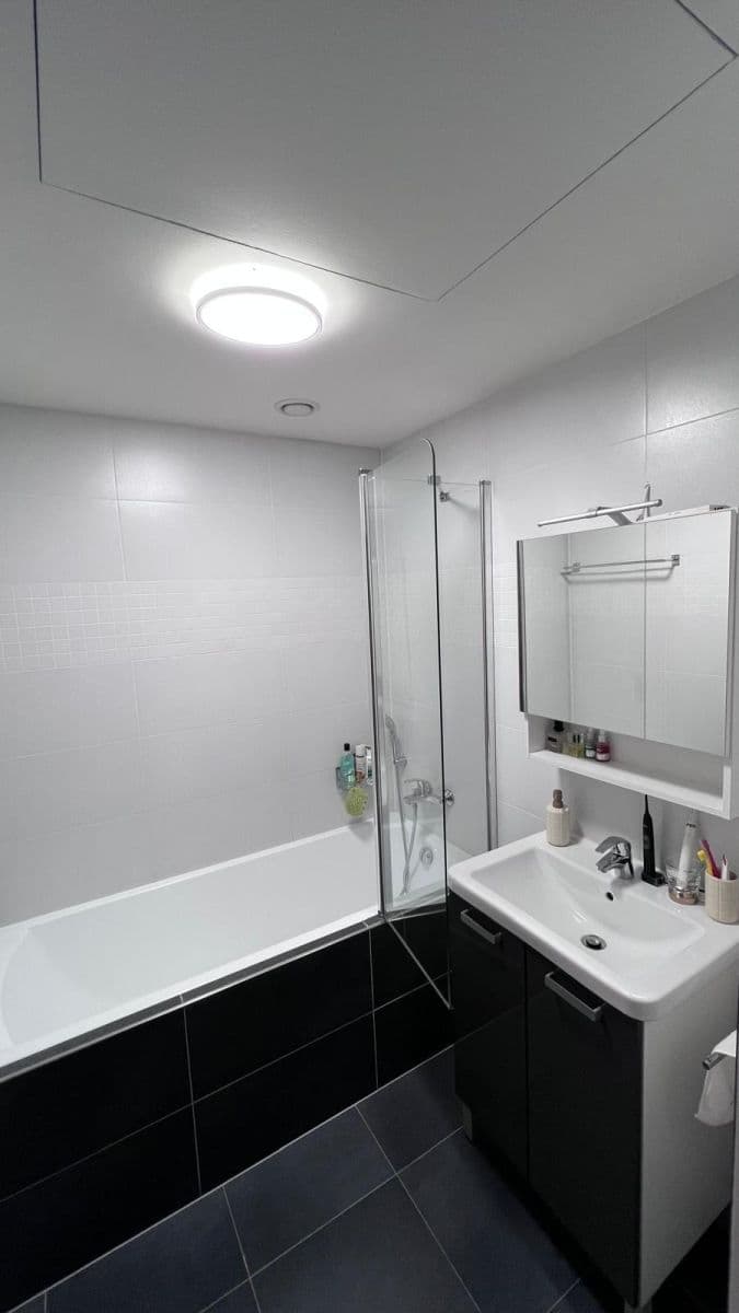 1 bedroom with open-plan kitchen flat to rent, 50 m², Slévačská, Prague, Prague 1 bedroom with open-plan kitchen flat to rent, 50 m², Slévačská, Prague, Prague