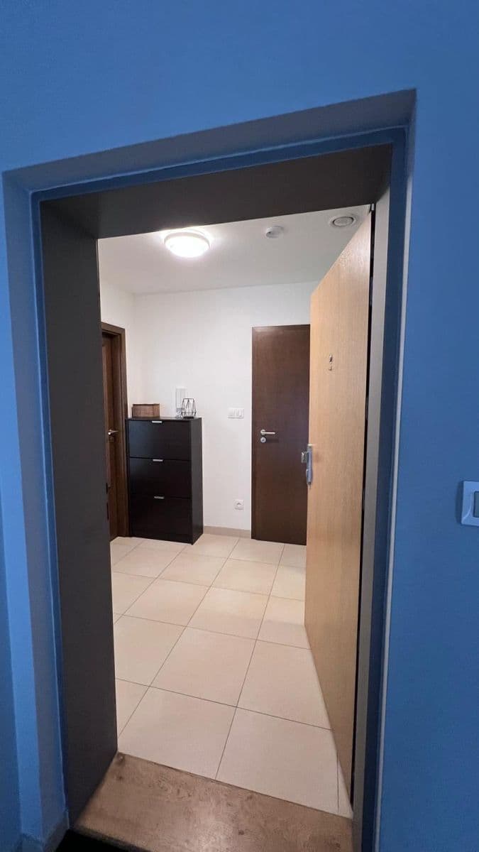 1 bedroom with open-plan kitchen flat to rent, 50 m², Slévačská, Prague, Prague 1 bedroom with open-plan kitchen flat to rent, 50 m², Slévačská, Prague, Prague