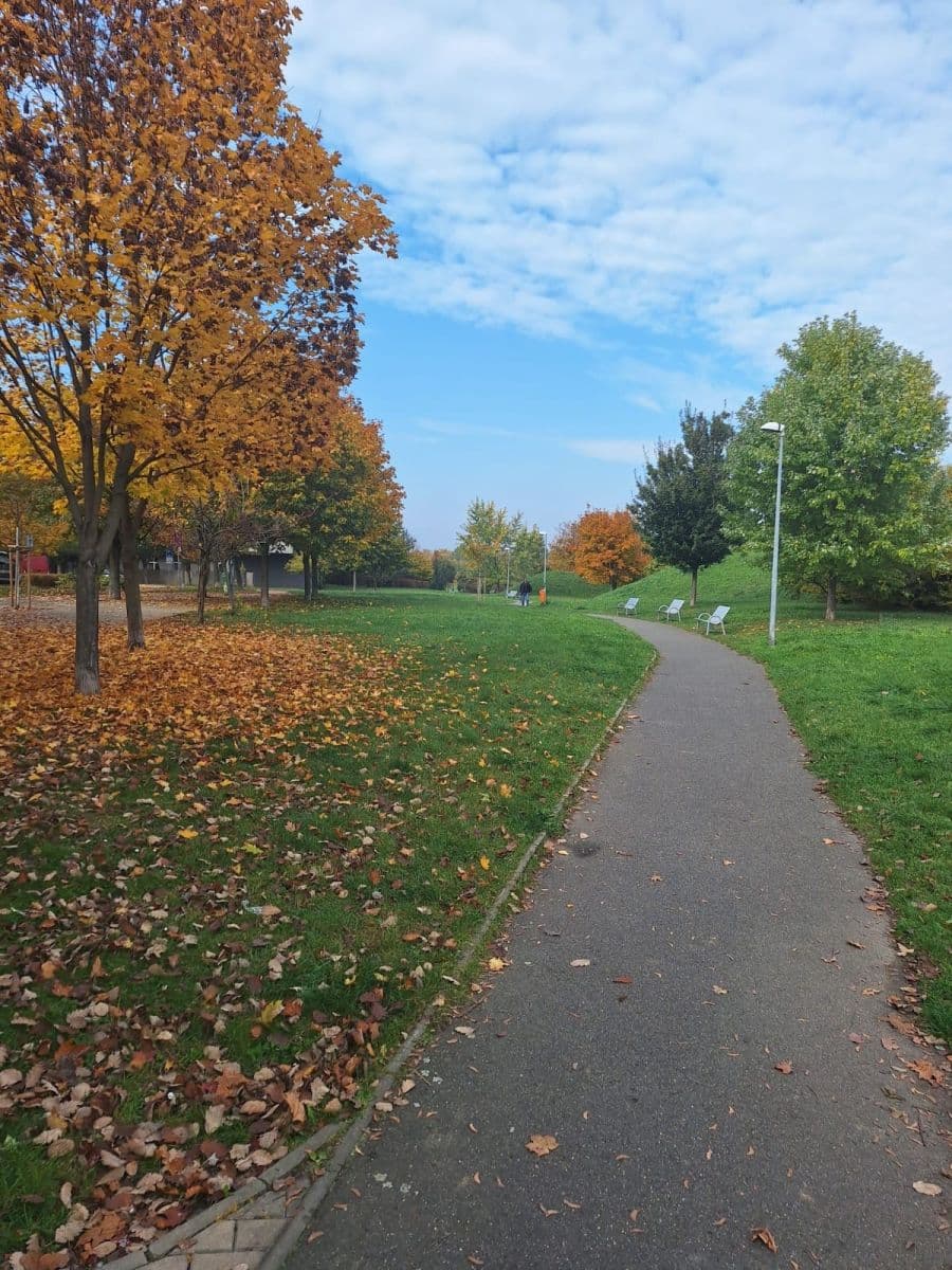 1 bedroom with open-plan kitchen flat to rent, 52 m², Terezínská, Prague, Prague 1 bedroom with open-plan kitchen flat to rent, 52 m², Terezínská, Prague, Prague