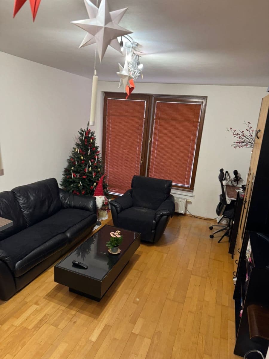 1 bedroom with open-plan kitchen flat to rent, 42 m², Na Neklance, Prague, Prague 1 bedroom with open-plan kitchen flat to rent, 42 m², Na Neklance, Prague, Prague