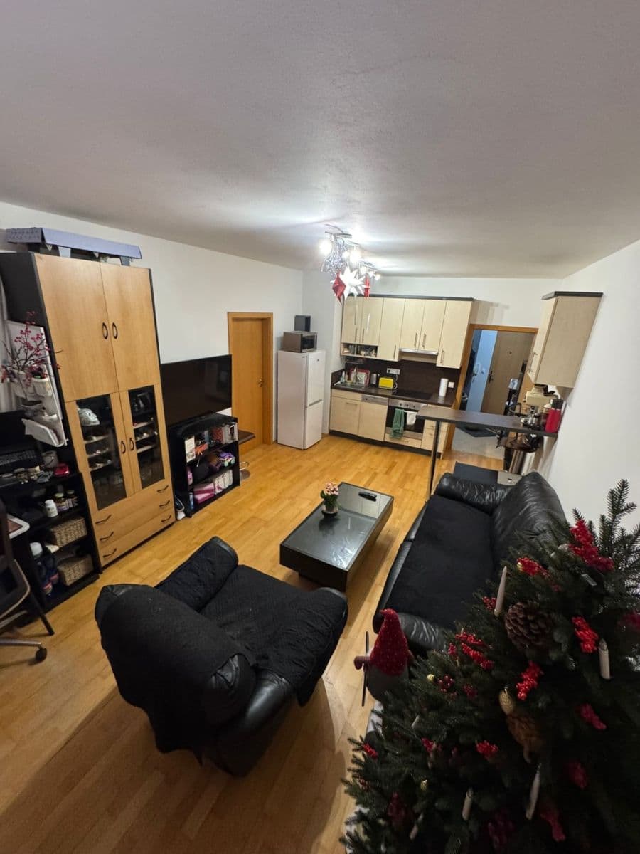 1 bedroom with open-plan kitchen flat to rent, 42 m², Na Neklance, Prague, Prague 1 bedroom with open-plan kitchen flat to rent, 42 m², Na Neklance, Prague, Prague