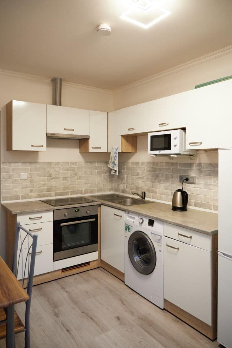 2 bedroom with open-plan kitchen flat to rent, 56 m², Světova, Prague, Prague 2 bedroom with open-plan kitchen flat to rent, 56 m², Světova, Prague, Prague