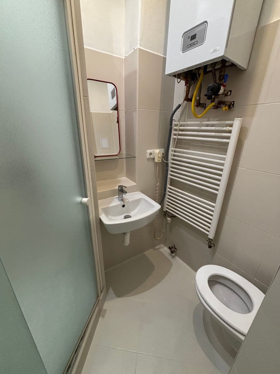 1 bedroom with open-plan kitchen flat to rent, 50 m², Hartigova, Prague, Prague 1 bedroom with open-plan kitchen flat to rent, 50 m², Hartigova, Prague, Prague