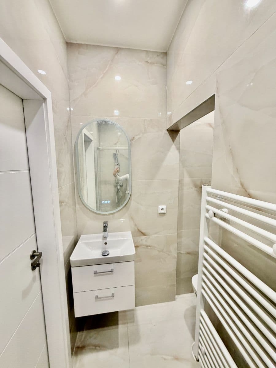 1 bedroom with open-plan kitchen flat for sale, 50 m², U Vysočanského pivovaru, Prague, Prague 1 bedroom with open-plan kitchen flat for sale, 50 m², U Vysočanského pivovaru, Prague, Prague