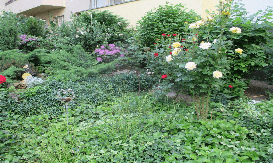 1 bedroom flat to rent, 43 m², Berlin, Berlin 1 bedroom flat to rent, 43 m², Berlin, Berlin