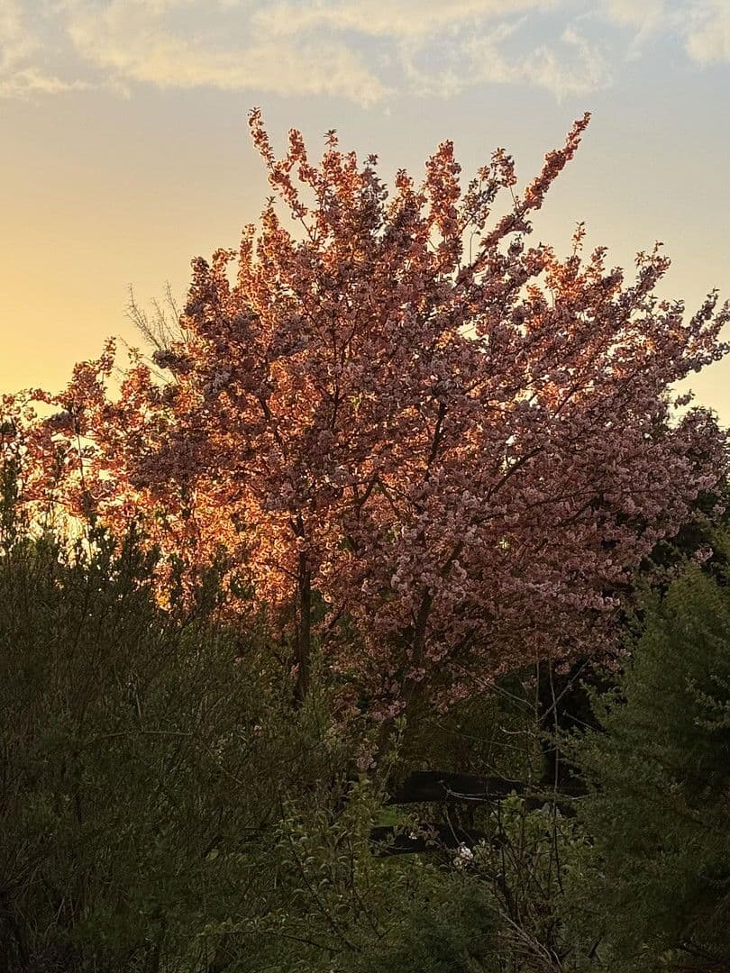 house for sale, 131 m², Neukirchen bei Sulzbach-Rosenberg, Bavaria house for sale, 131 m², Neukirchen bei Sulzbach-Rosenberg, Bavaria