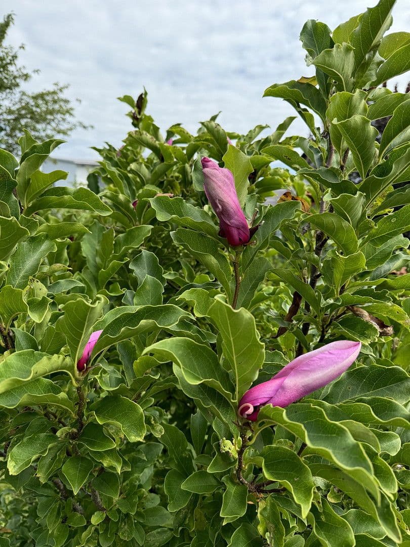 house for sale, 131 m², Neukirchen bei Sulzbach-Rosenberg, Bavaria house for sale, 131 m², Neukirchen bei Sulzbach-Rosenberg, Bavaria