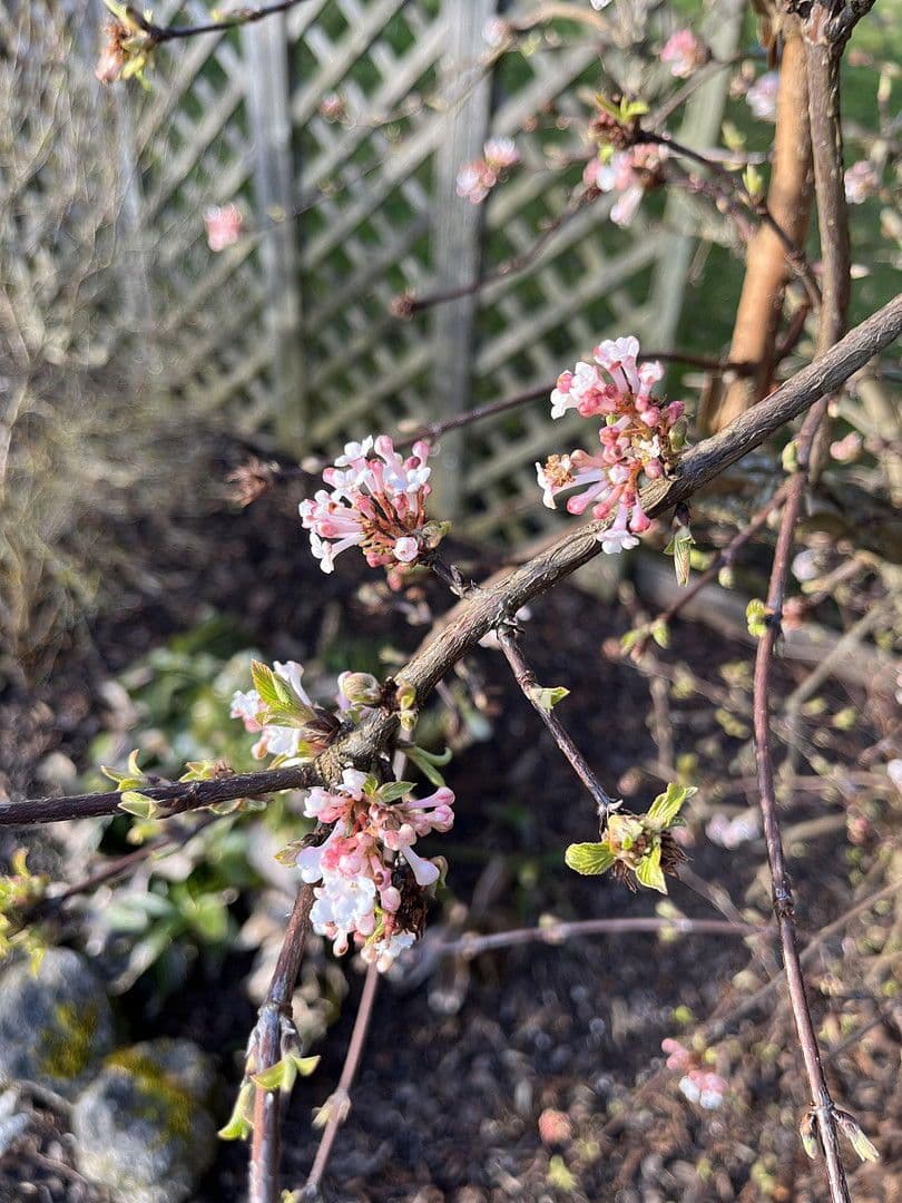 house for sale, 131 m², Neukirchen bei Sulzbach-Rosenberg, Bavaria house for sale, 131 m², Neukirchen bei Sulzbach-Rosenberg, Bavaria