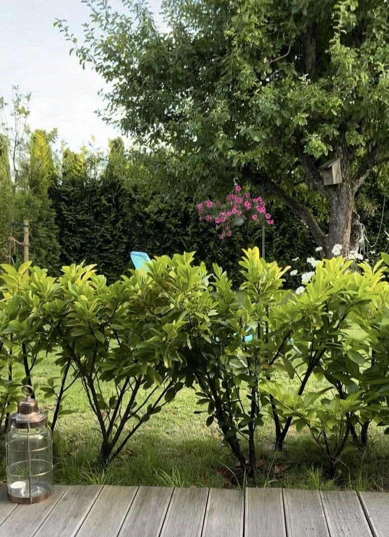 house for sale, 86 m², Warwerort, Schleswig-Holstein house for sale, 86 m², Warwerort, Schleswig-Holstein