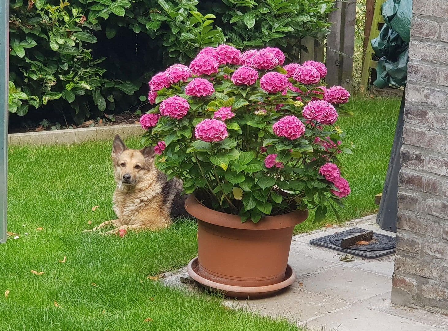 house for sale, 126 m², Rheinberg, North Rhine-Westphalia house for sale, 126 m², Rheinberg, North Rhine-Westphalia