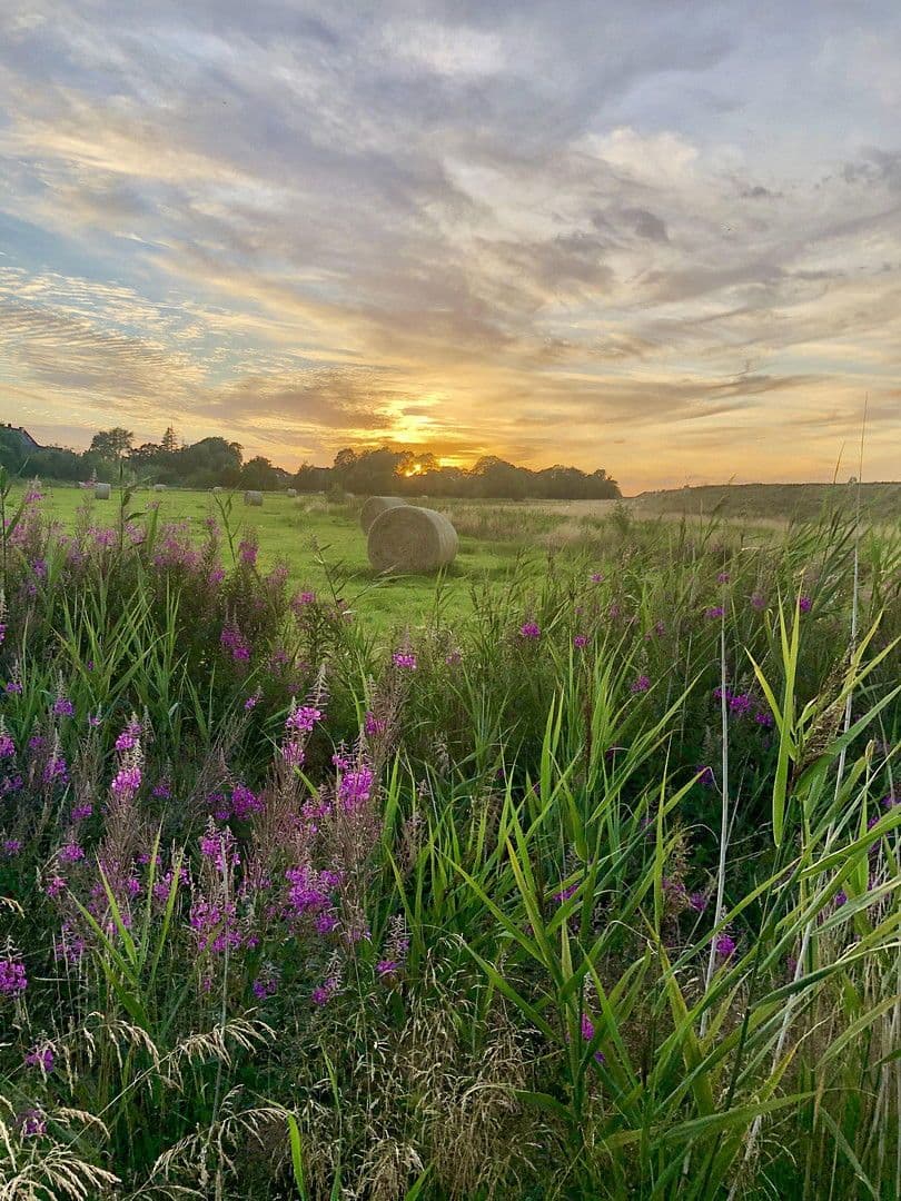 house for sale, 125 m², Nordosterdeich 74, Neukirchen, Schleswig-Holstein house for sale, 125 m², Nordosterdeich 74, Neukirchen, Schleswig-Holstein