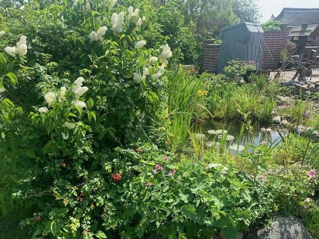 house for sale, 200 m², Dierhagen, Mecklenburg-Vorpommern house for sale, 200 m², Dierhagen, Mecklenburg-Vorpommern