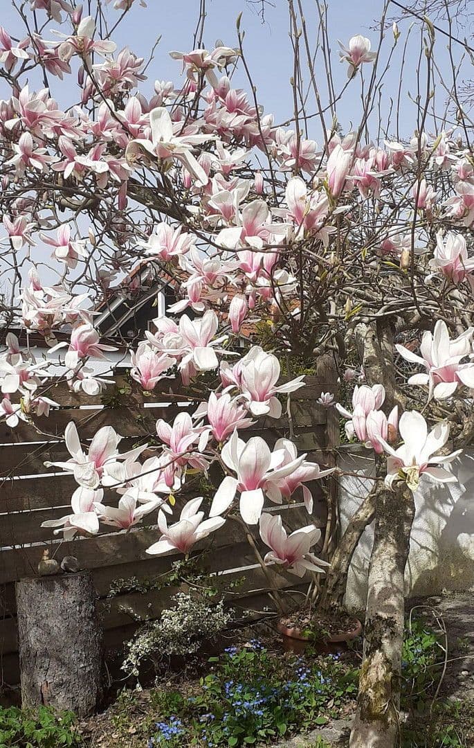 house for sale, 202 m², Egmating, Bavaria house for sale, 202 m², Egmating, Bavaria