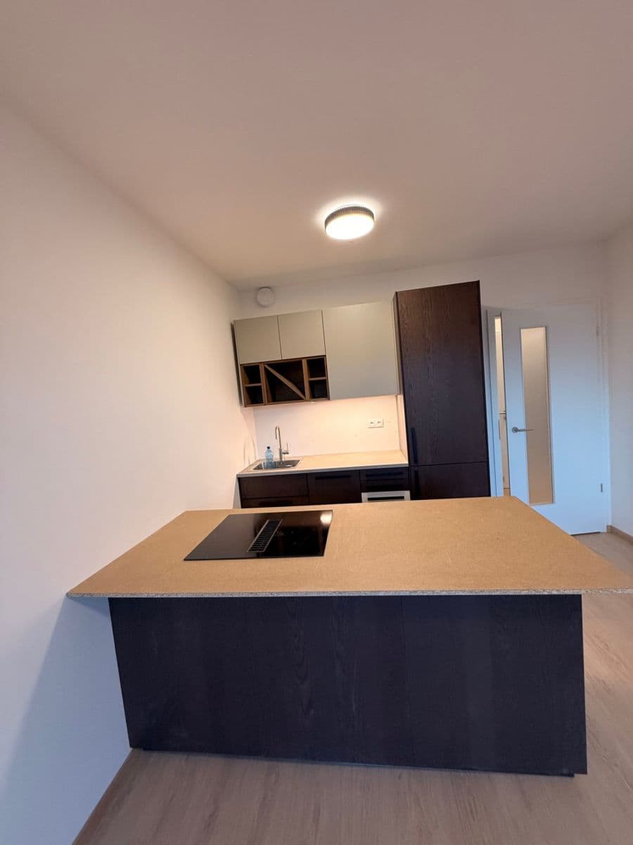 1 bedroom with open-plan kitchen flat to rent, 48 m², Haenkeho, Prague, Prague 1 bedroom with open-plan kitchen flat to rent, 48 m², Haenkeho, Prague, Prague