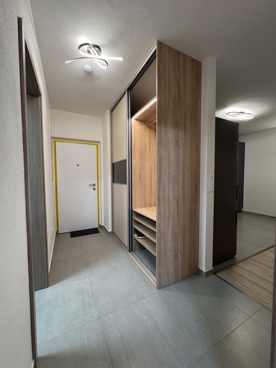 1 bedroom with open-plan kitchen flat to rent, 55 m², Kartónová, Plzeň, Plzeňský Region 1 bedroom with open-plan kitchen flat to rent, 55 m², Kartónová, Plzeň, Plzeňský Region