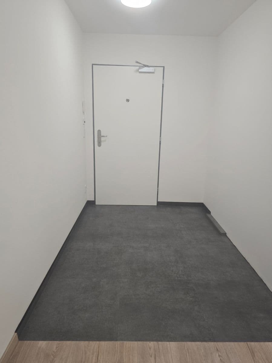 2 bedroom with open-plan kitchen flat to rent, 64 m², Fabiánova, Prague, Prague 2 bedroom with open-plan kitchen flat to rent, 64 m², Fabiánova, Prague, Prague