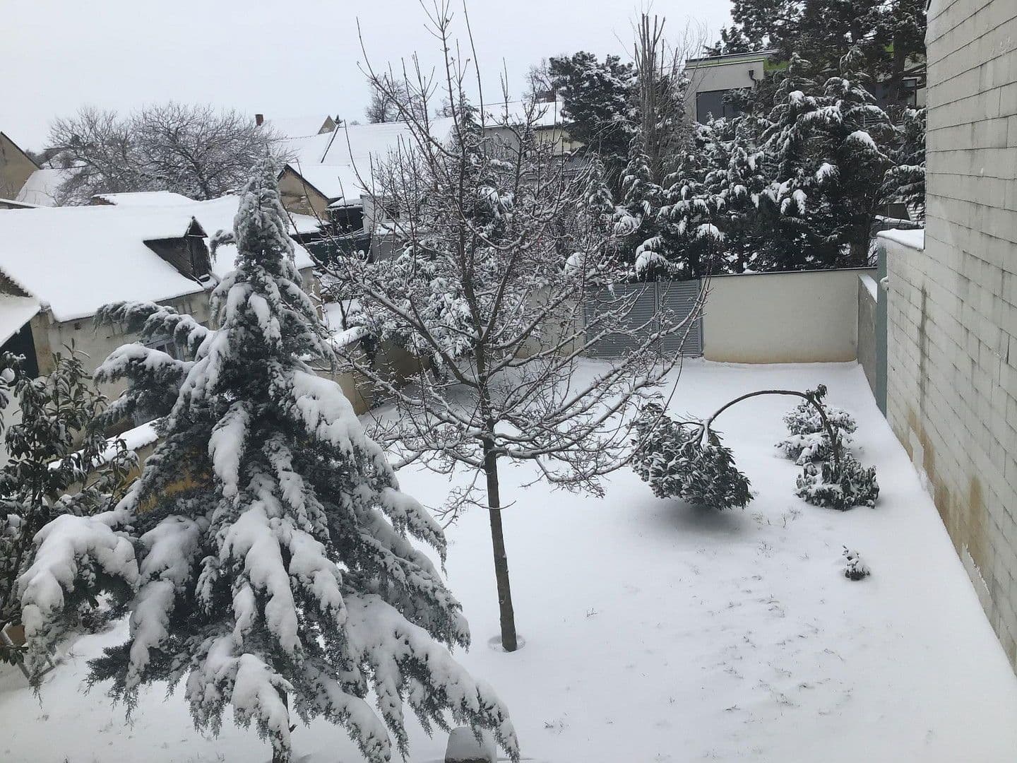 house for sale, 100 m², Neusiedl am See, Burgenland house for sale, 100 m², Neusiedl am See, Burgenland