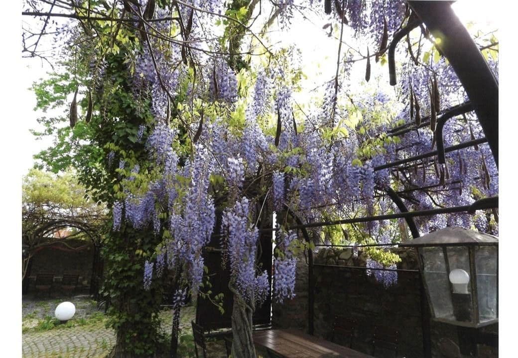 house for sale, 360 m², Graugasse 8, Oestrich-Winkel, Hesse house for sale, 360 m², Graugasse 8, Oestrich-Winkel, Hesse