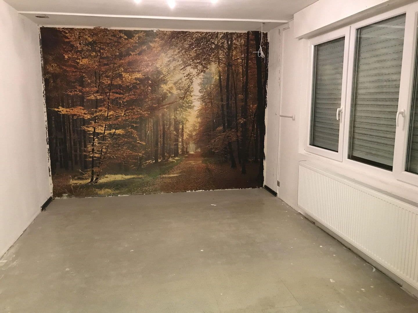 house for sale, 300 m², Groß-Zimmern, Hesse house for sale, 300 m², Groß-Zimmern, Hesse