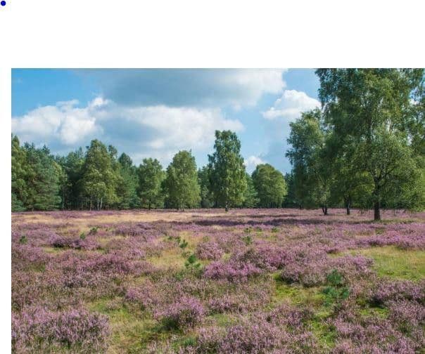 house to rent, 115 m², Paderborn, North Rhine-Westphalia house to rent, 115 m², Paderborn, North Rhine-Westphalia