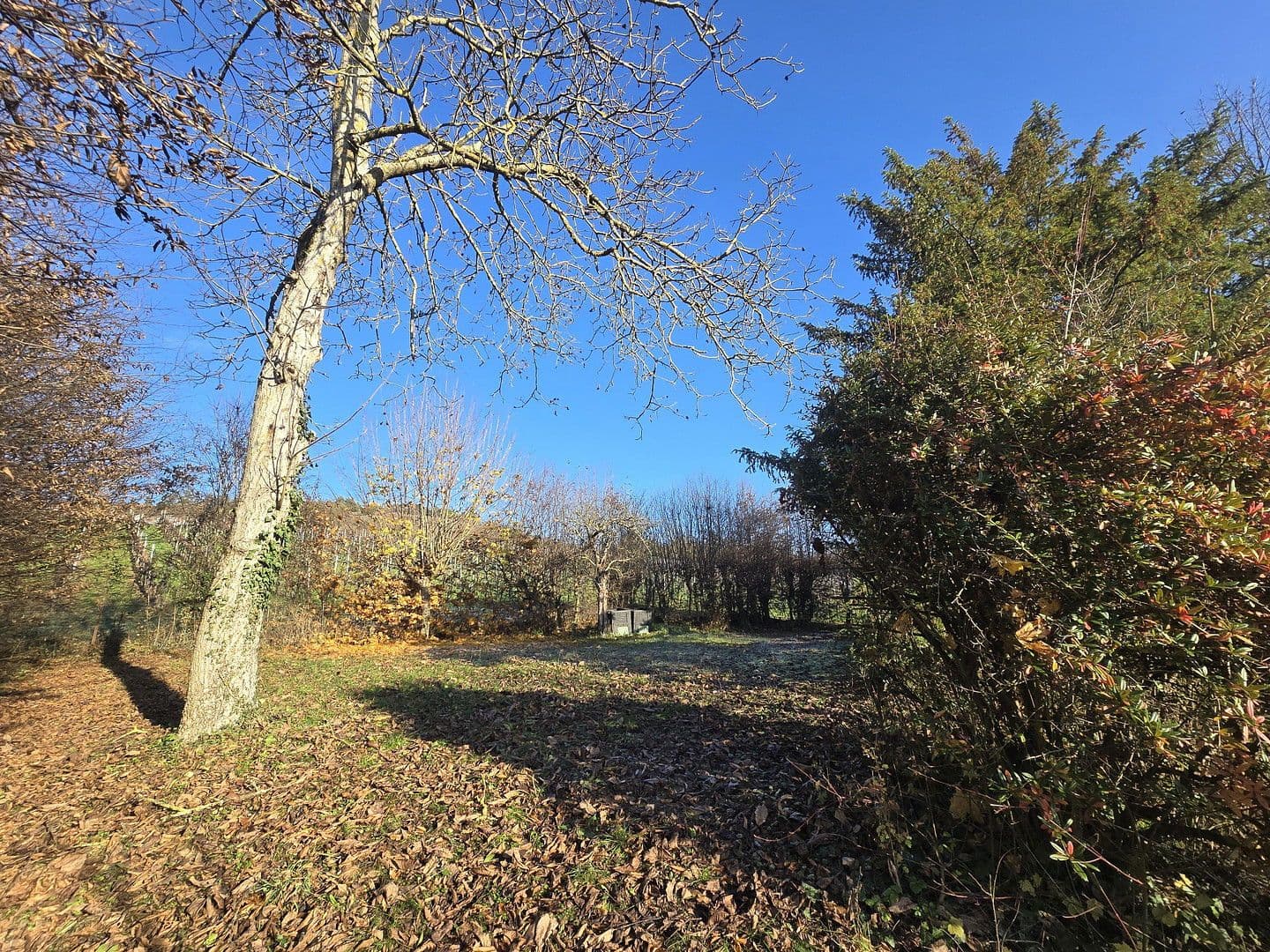 house for sale, 321 m², Triefenstein, Bavaria house for sale, 321 m², Triefenstein, Bavaria