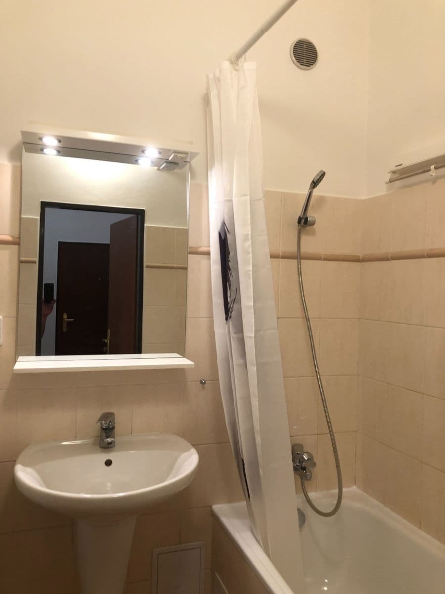 1 bedroom with open-plan kitchen flat to rent, 51 m², Šumavská, Prague, Prague 1 bedroom with open-plan kitchen flat to rent, 51 m², Šumavská, Prague, Prague