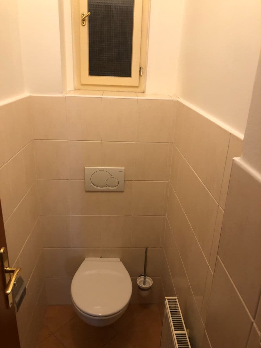 1 bedroom with open-plan kitchen flat to rent, 51 m², Šumavská, Prague, Prague 1 bedroom with open-plan kitchen flat to rent, 51 m², Šumavská, Prague, Prague