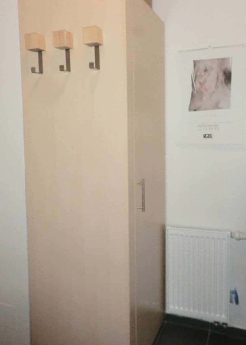 Studio flat to rent, 49 m², U Zátiší, Prague, Prague Studio flat to rent, 49 m², U Zátiší, Prague, Prague