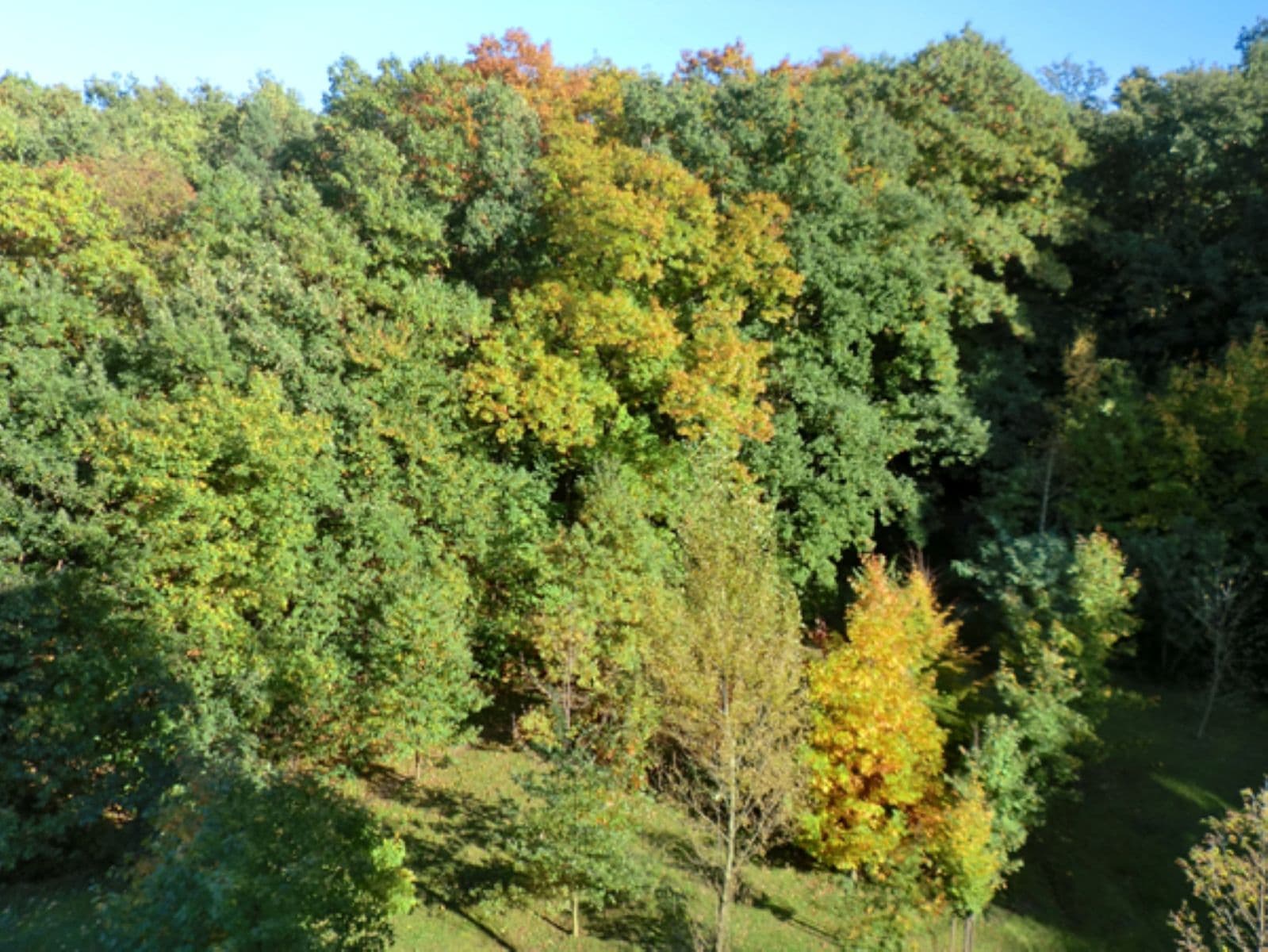 Studio flat to rent, 49 m², U Zátiší, Prague, Prague Studio flat to rent, 49 m², U Zátiší, Prague, Prague