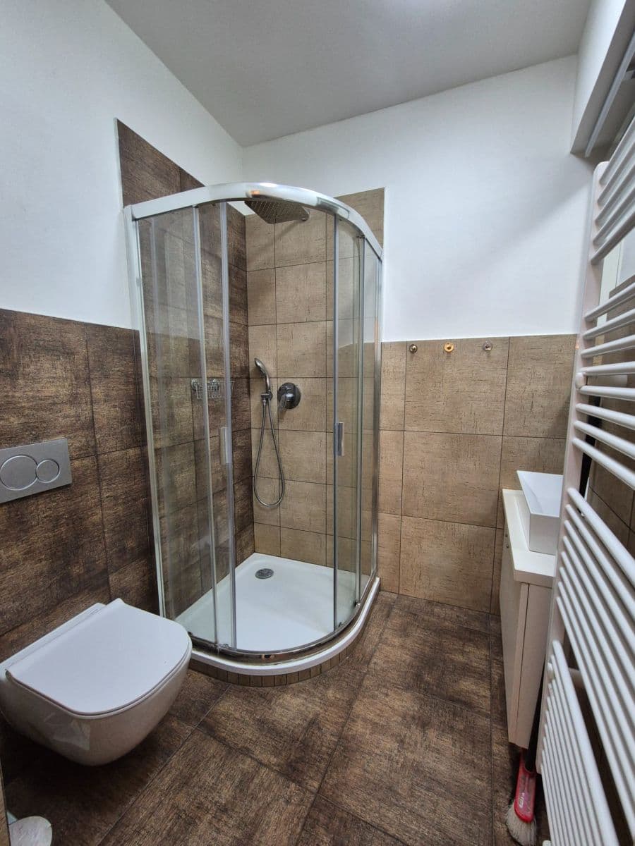 2 bedroom with open-plan kitchen flat to rent, 62 m², Horní, Prague, Prague 2 bedroom with open-plan kitchen flat to rent, 62 m², Horní, Prague, Prague