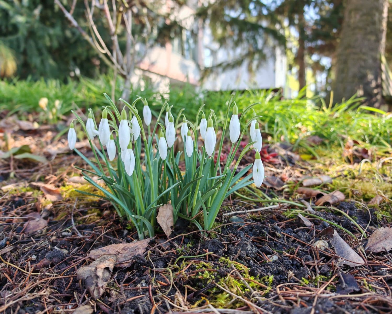 3 bedroom flat for sale, 63 m², Nedomická, Všetaty, Středočeský Region 3 bedroom flat for sale, 63 m², Nedomická, Všetaty, Středočeský Region