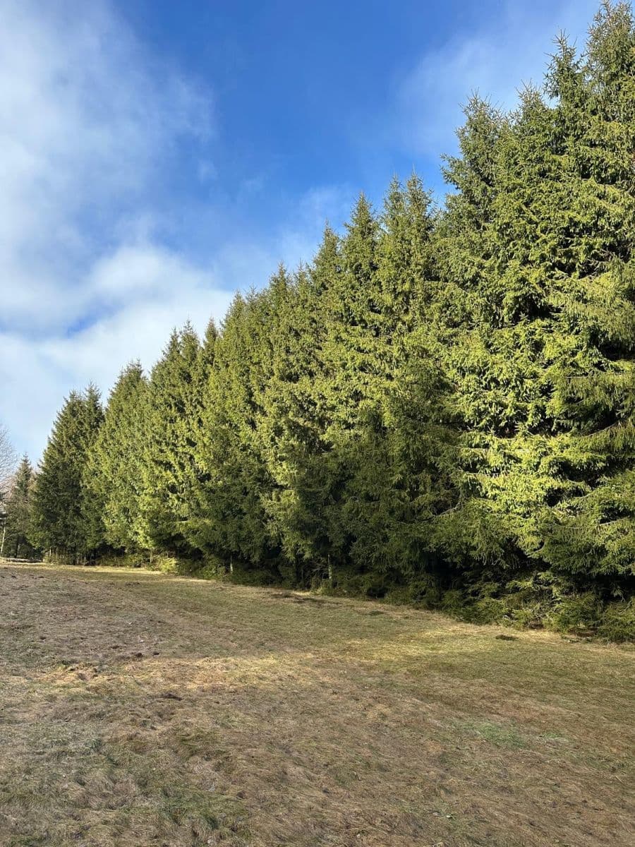 plot for sale, 11,665 m², Červený Kostelec, Královéhradecký Region plot for sale, 11,665 m², Červený Kostelec, Královéhradecký Region