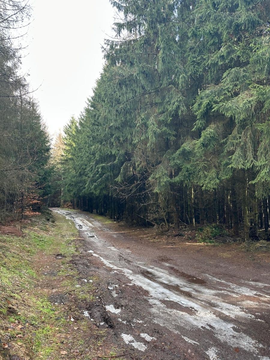 plot for sale, 11,665 m², Červený Kostelec, Královéhradecký Region plot for sale, 11,665 m², Červený Kostelec, Královéhradecký Region