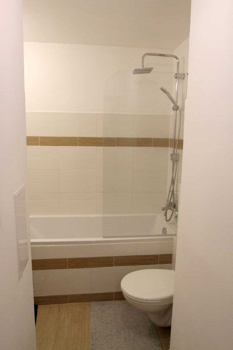 1 bedroom with open-plan kitchen flat to rent, 43 m², Holandská, Prague, Prague 1 bedroom with open-plan kitchen flat to rent, 43 m², Holandská, Prague, Prague