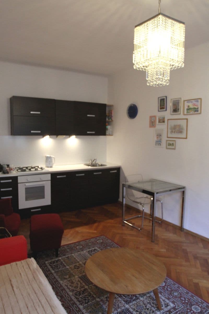 1 bedroom with open-plan kitchen flat to rent, 43 m², Holandská, Prague, Prague 1 bedroom with open-plan kitchen flat to rent, 43 m², Holandská, Prague, Prague