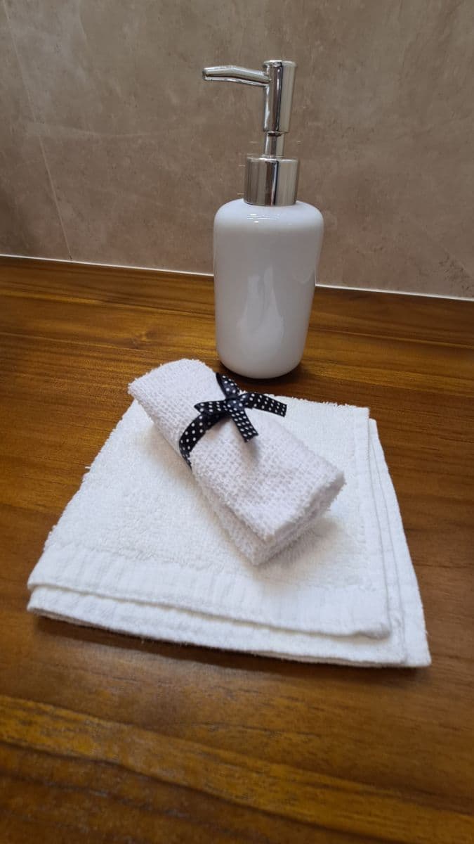 1 bedroom with open-plan kitchen flat to rent, 45 m², Vrázova, Prague, Prague 1 bedroom with open-plan kitchen flat to rent, 45 m², Vrázova, Prague, Prague