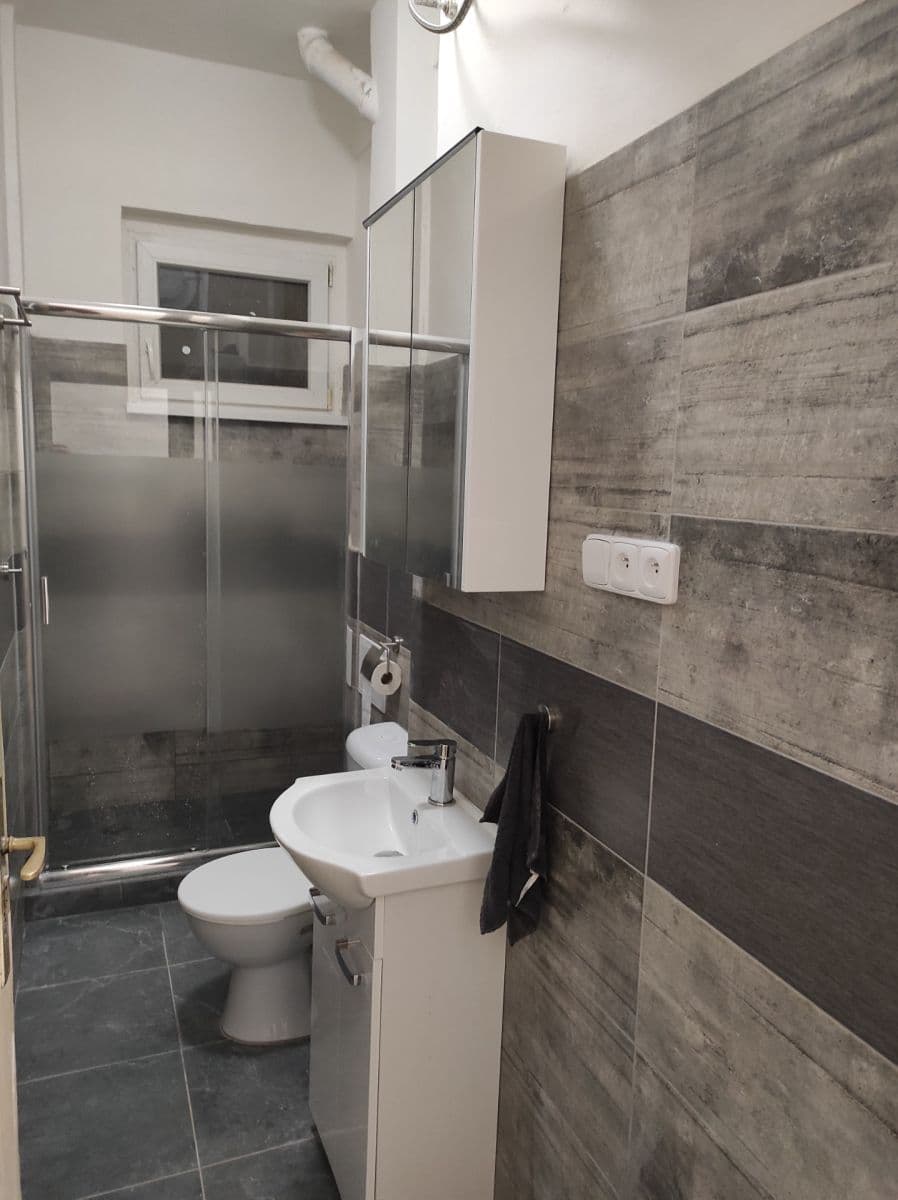 1 bedroom with open-plan kitchen flat to rent, 41 m², Svojsíkova, Prague, Prague 1 bedroom with open-plan kitchen flat to rent, 41 m², Svojsíkova, Prague, Prague